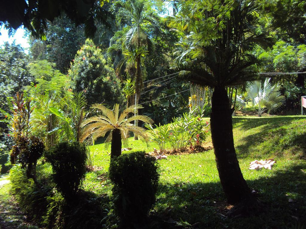 La Purruja Lodge โกลฟิโต ภายนอก รูปภาพ