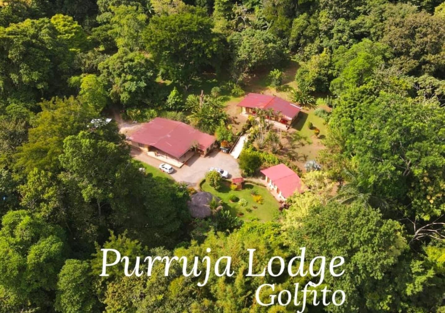 La Purruja Lodge โกลฟิโต ภายนอก รูปภาพ