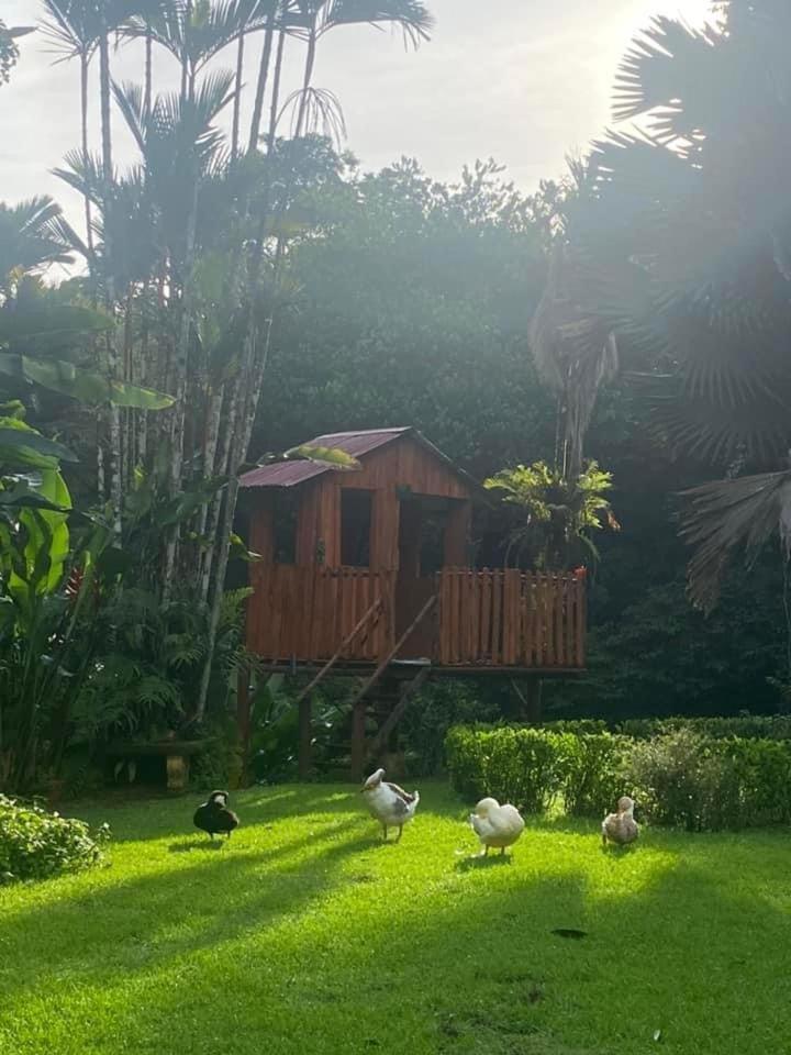 La Purruja Lodge โกลฟิโต ภายนอก รูปภาพ