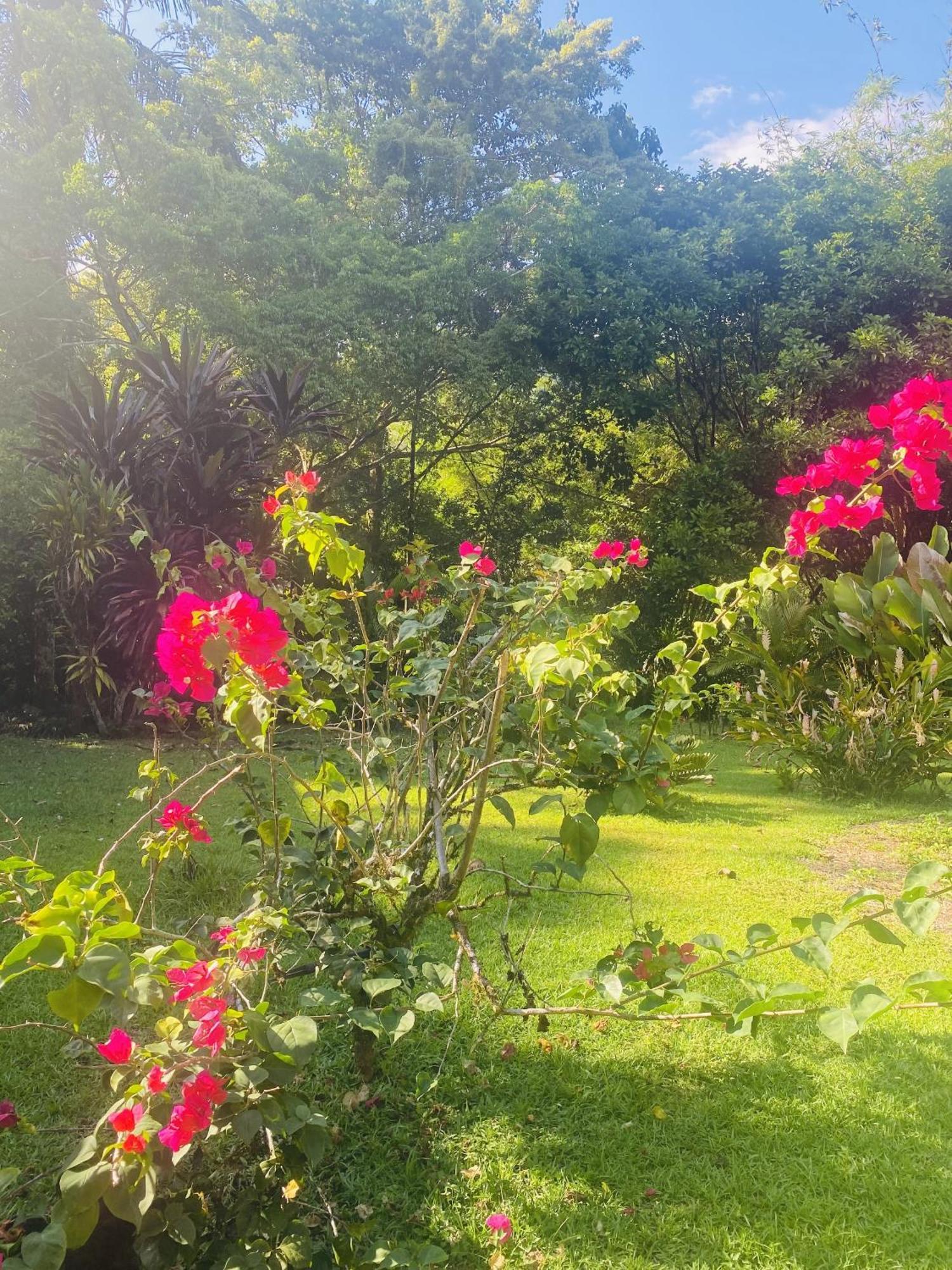 La Purruja Lodge โกลฟิโต ภายนอก รูปภาพ